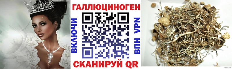 Галлюциногенные грибы Psilocybe  продажа наркотиков  Билибино 